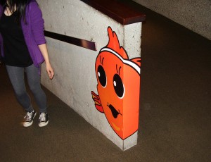 Vancouver Aquarium Wall Graphic